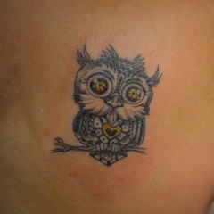Little owl tattoo