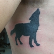 Wolf Cover-up Tattoo