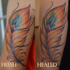 Fresh Vs. Healed Pheonix Tattoo